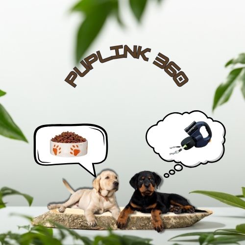 No-Tangle Double Dog Leash